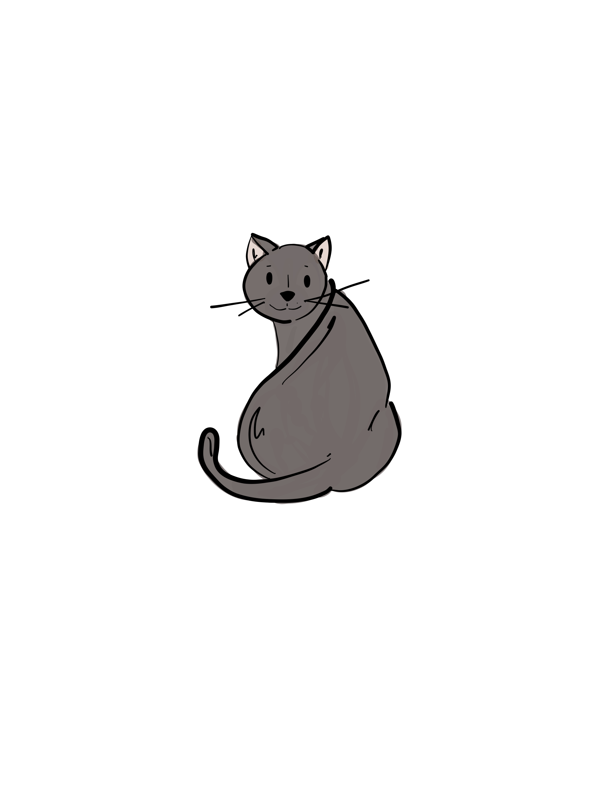 Illustration Katze
